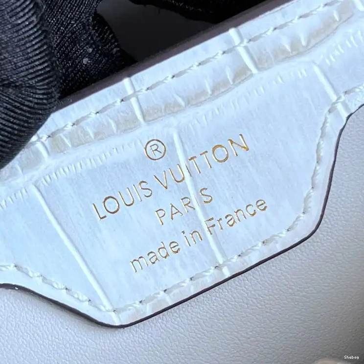 2210YA0129 Bag LV 0723